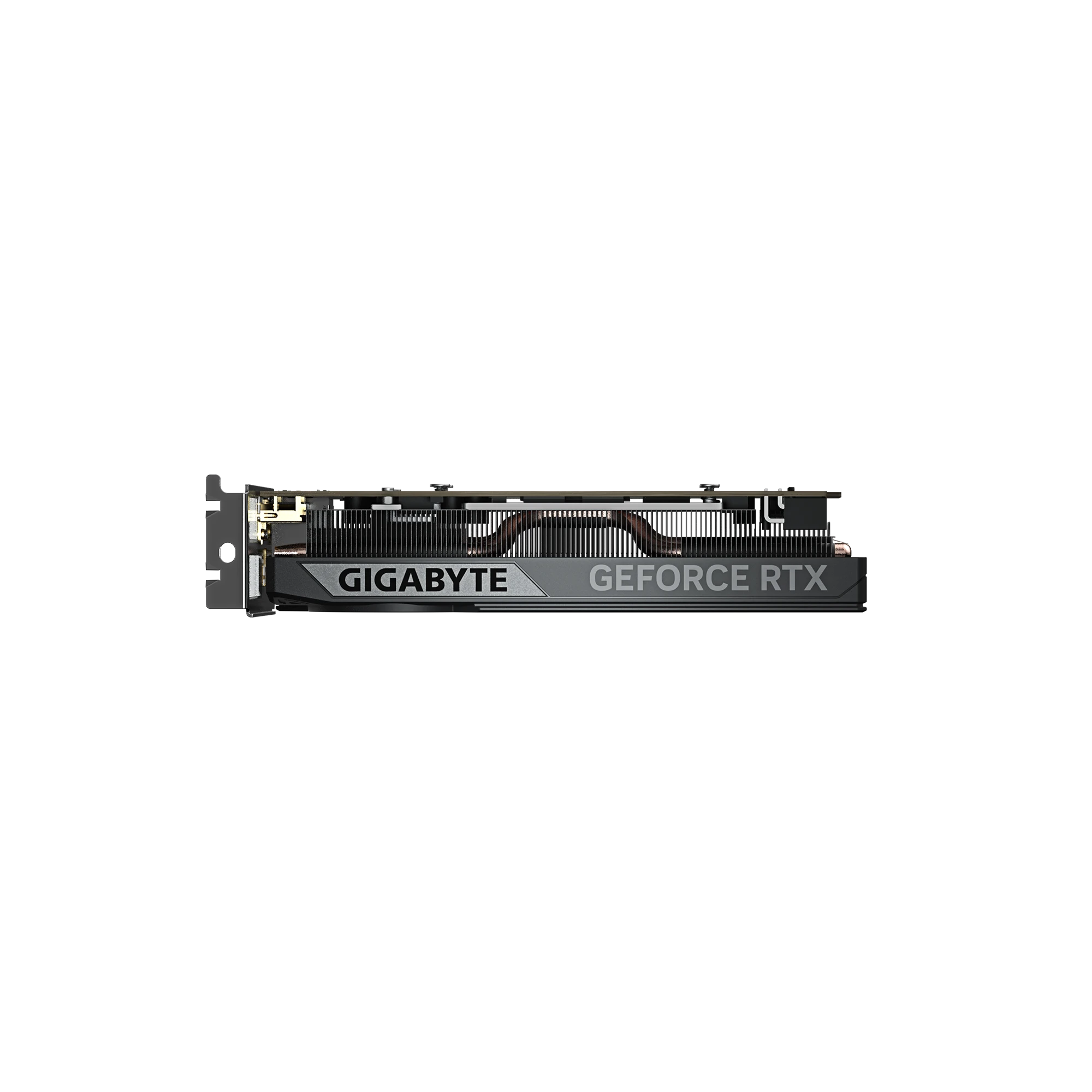Gigabyte RTX 5050 8G OC Low Profile (GV-N5050OC-8GL) Відеокарти image 3